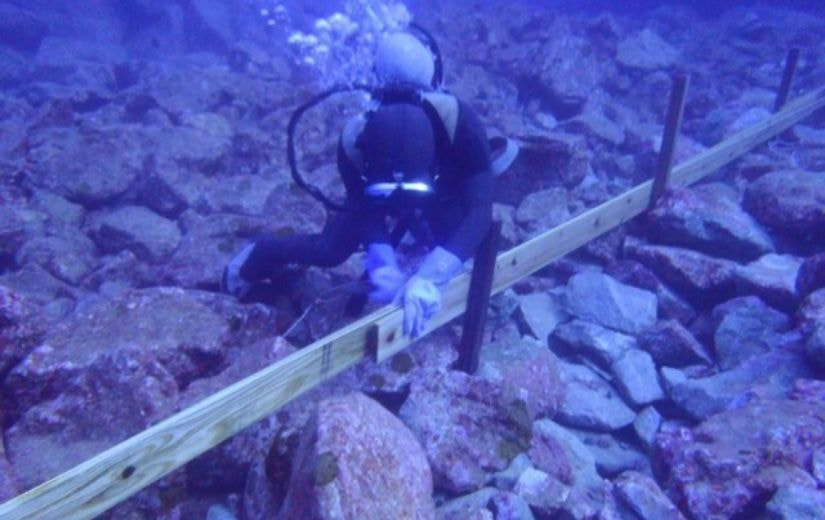 亀徳港改修工（2工区）